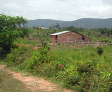 Noun Phong's land and home